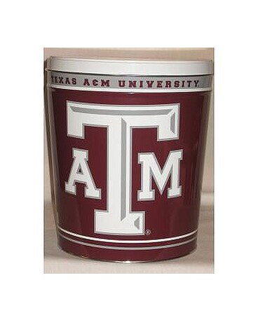 Texas A&M University (DS-006)