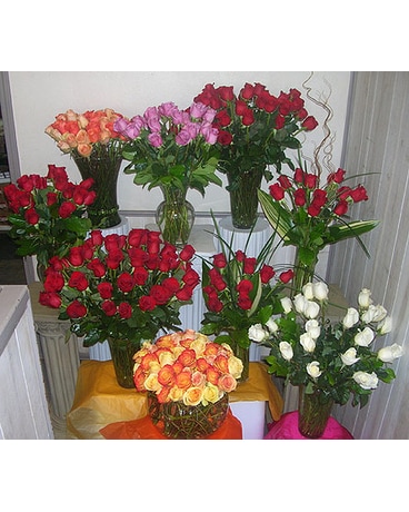 365 Roses to say I Love You Every Day! (PSF-143)