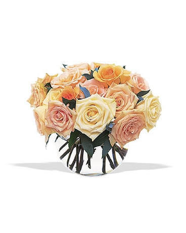 Perfect Pastel Roses by Petals & Stems (TF29-1N)