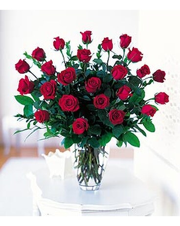 Two Dozen Red Roses(TF31-2V)