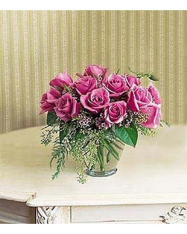 Pavwe of a Lavender Dozen (TF32-4N)