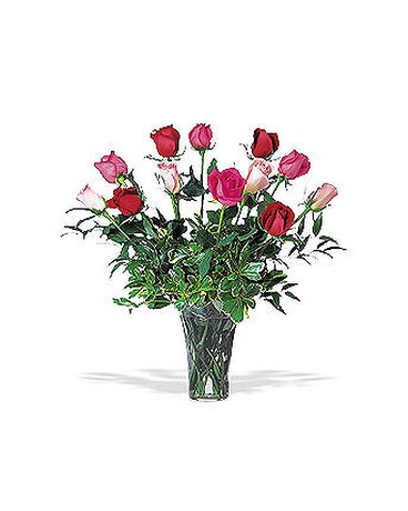 A Dozen Multi-Colored Roses(TF32-5V)