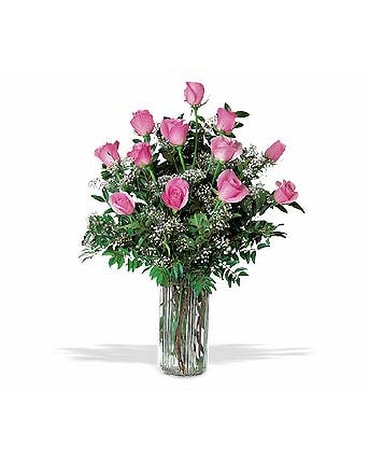 A Dozen Pink Roses(TF33-1V)