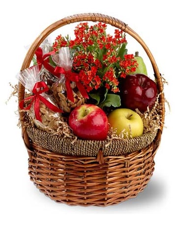 Health Nut Basket (TFWEB197)