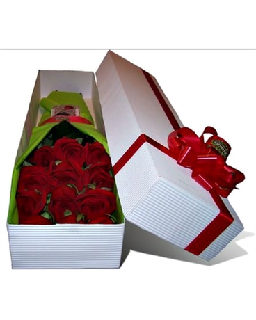 Red Roses Gift Box - Long Stemmed Roses – Roses Only