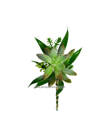 Succulent w/greens Boutonniere