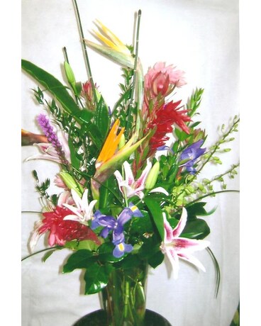 Tropicals