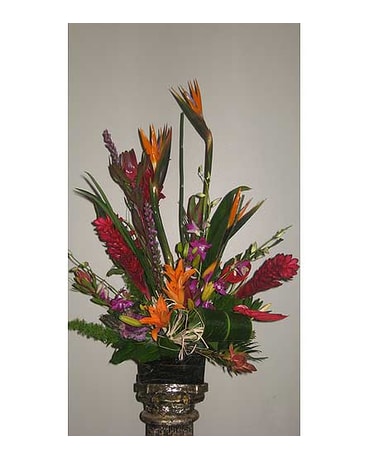 The Orchids Of Bird