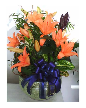 Dishgarden of Lilies