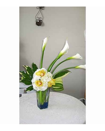 White Of Calla
