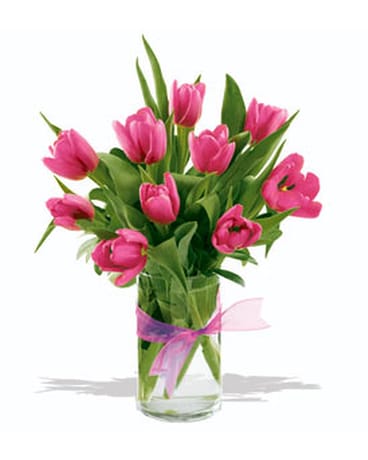 Totally Hot Pink Tulips