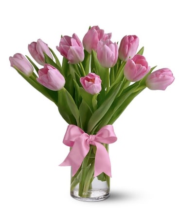 Precious Pink Tulips