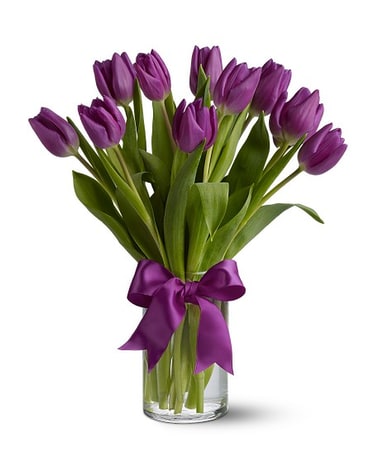 Passionate Purple Tulips
