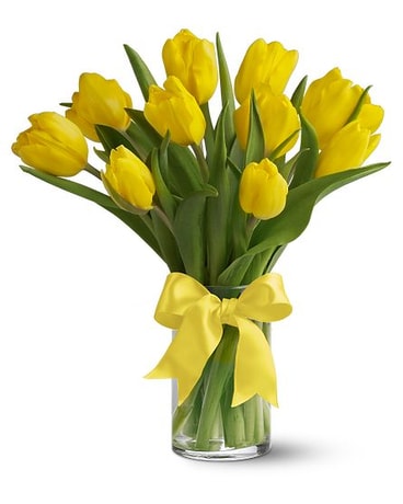 Sunny Yellow Tulips