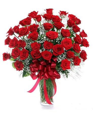 Explosion of Roses