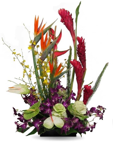 Exotic Garden