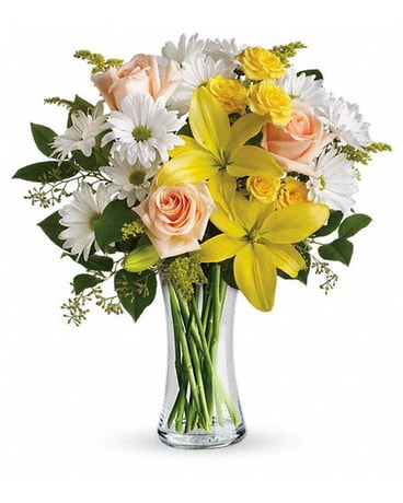 Daisies and Sunbeams