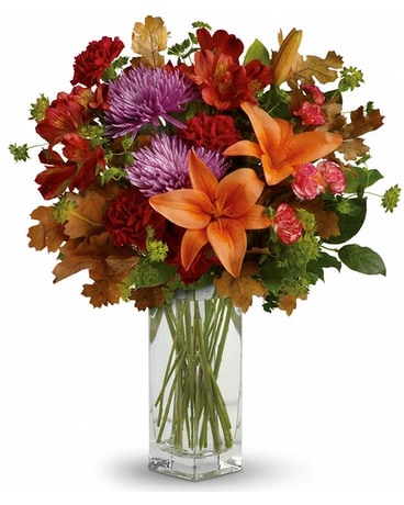 Fall Brights