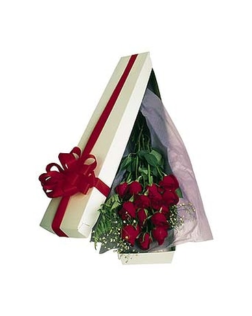 Dozen Boxed Roses