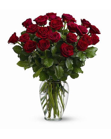 Two Dozen Red Roses