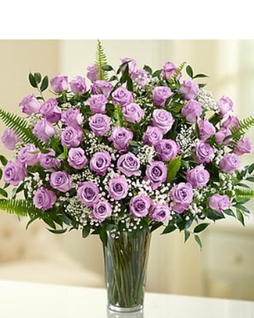 Ultimate Elegance Purple