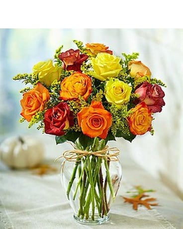 Fall Colored Roses