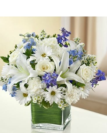 Healing Tears - Blue & White