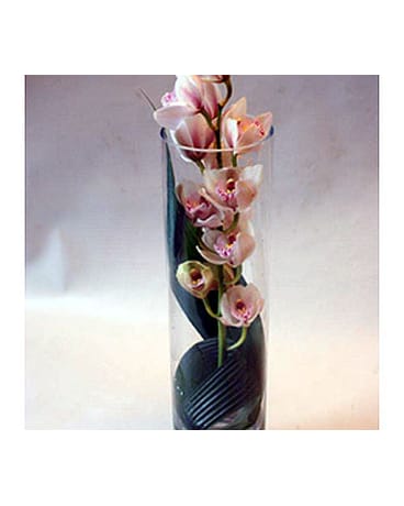 Cylinder of Cymbidiums