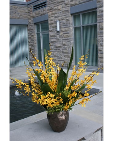 Golden Aranda
