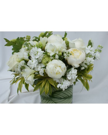 Just White 2