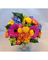 Lovely size,  inches height and  inches wide.
