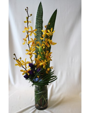 Simply Aranda Flower Arrangement