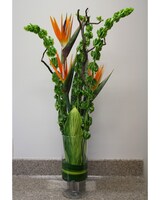 Lovely size,  inches height and  inches wide.