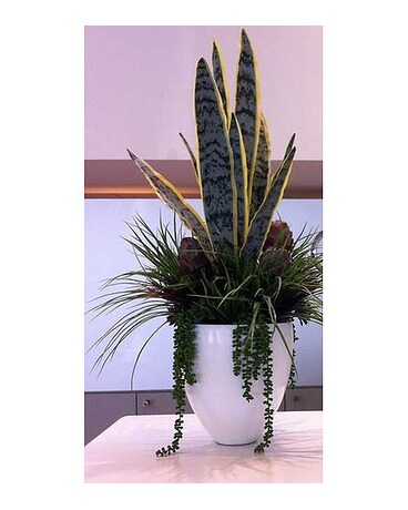 Permanent Decor
