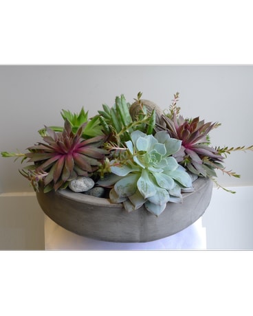URBAN PLANTER