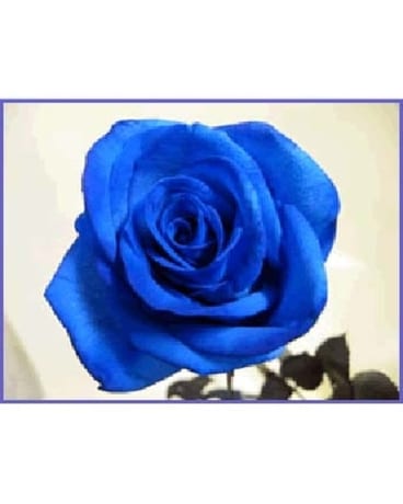 Blue Roses Flower Arrangement