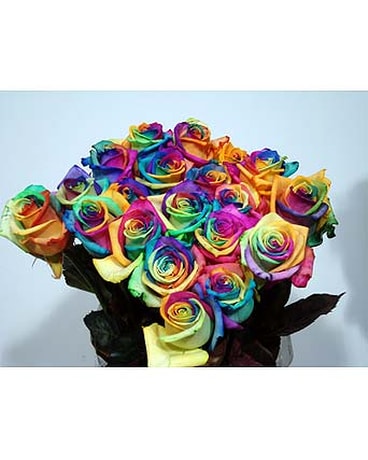 Rainbow Roses In Boston Ma Exotic Flowers