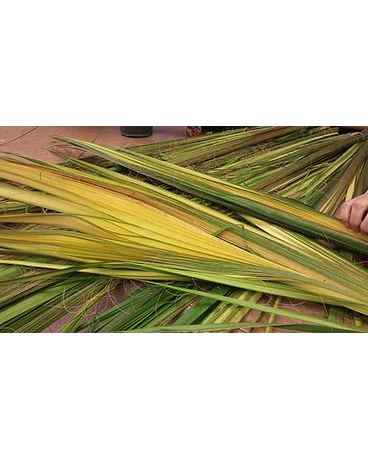 Palms for Palm Sunday
