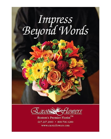 Impress Beyond Words