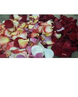 One Bag Mixed Colors size,  inches height and  inches wide.