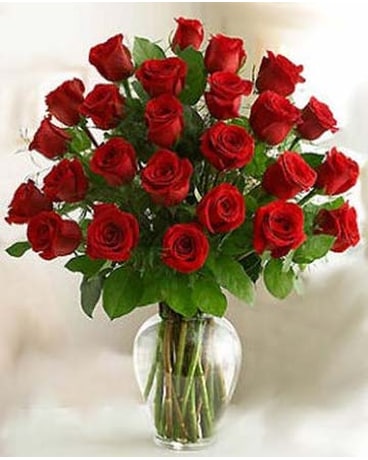 Bella Flor Two Dozen Red Roses