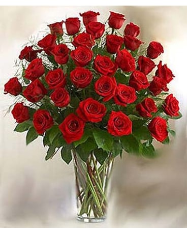 Bella Flor Three Dozen Red Roses