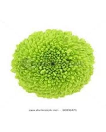 Green Button