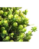 As Shown size,  inches height and  inches wide.