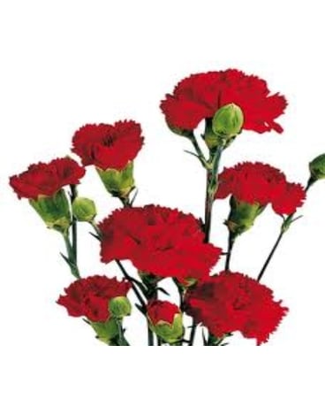 Red Mini Carnation