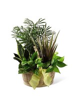 As Shown size,  inches height and  inches wide.