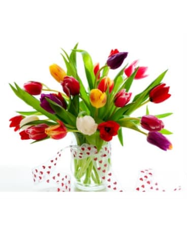 Tender Tulips