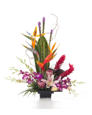 Buds and Blooms Tropical Treasure