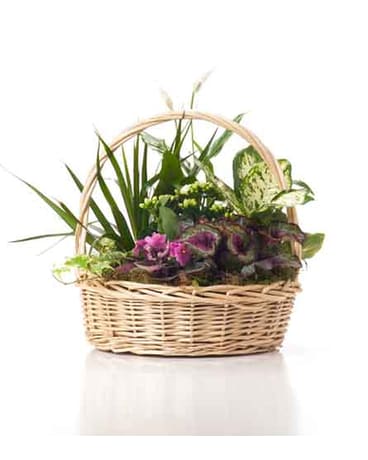 Buds and Blooms Large Basket Garden
