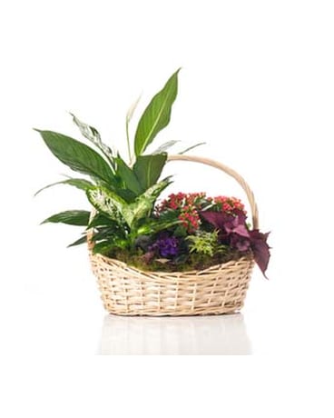 Buds and Blooms Extra Large Basket Garden
